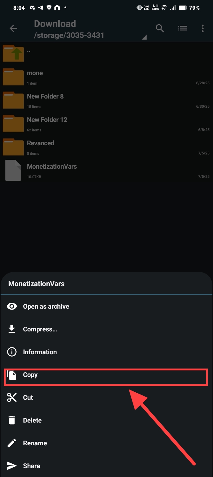 Holding the file and clicking Copy